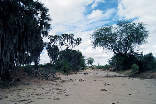 Kenia (365)